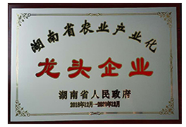 湖南省農業(yè)龍頭企業(yè)