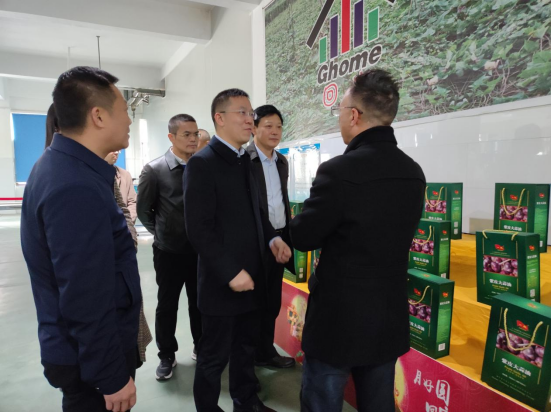 市委常委、組織部部長、統(tǒng)戰(zhàn)部部長龔紅果蒞臨天香生物調(diào)研