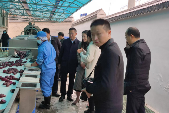 市委常委、組織部部長、統(tǒng)戰(zhàn)部部長龔紅果蒞臨天香生物調(diào)研