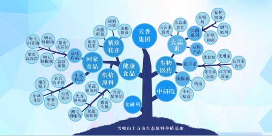 市委常委、組織部部長、統(tǒng)戰(zhàn)部部長龔紅果蒞臨天香生物調(diào)研
