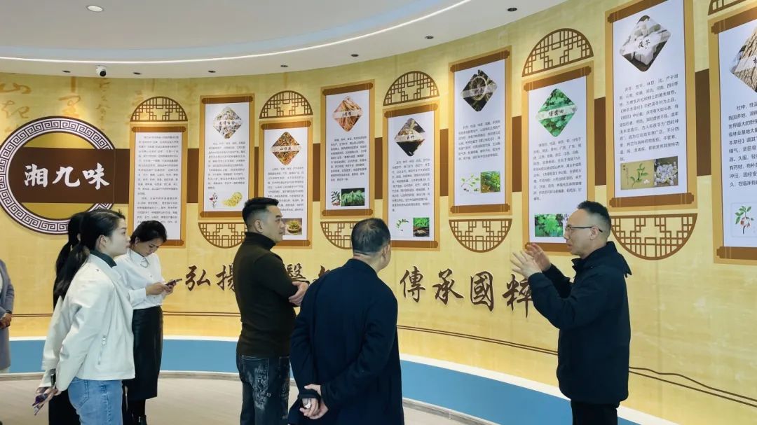 種下梧桐樹，引得鳳凰來