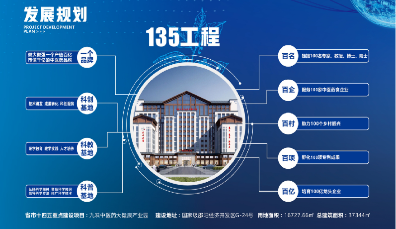 種下梧桐樹，引得鳳凰來